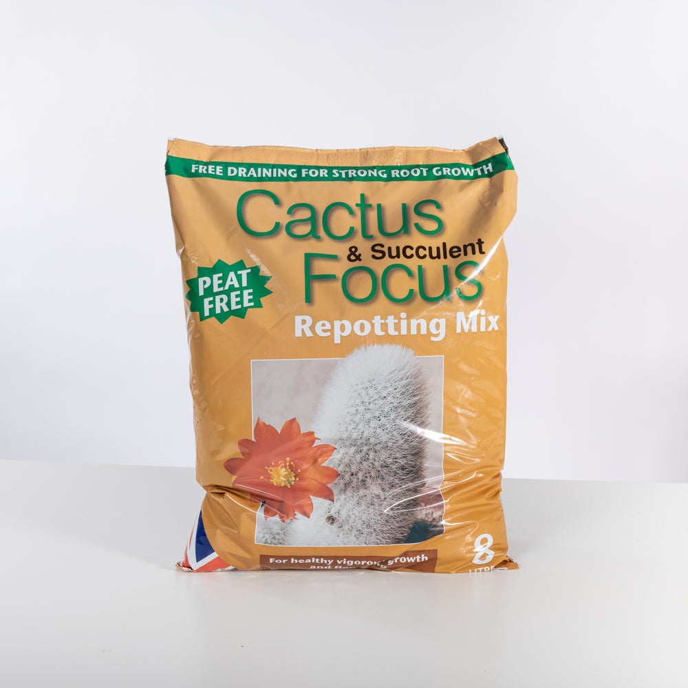 Cactus deals succulent soil